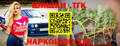 крисы Свободный