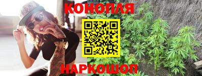крисы Свободный