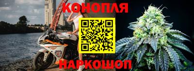 крисы Свободный