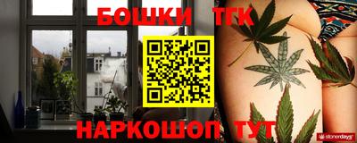 крисы Свободный